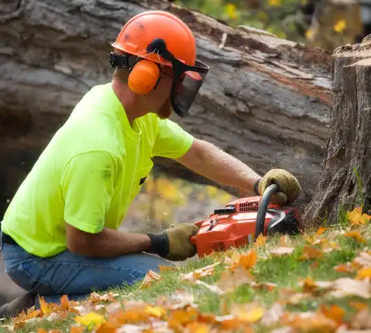 tree services Weweantic